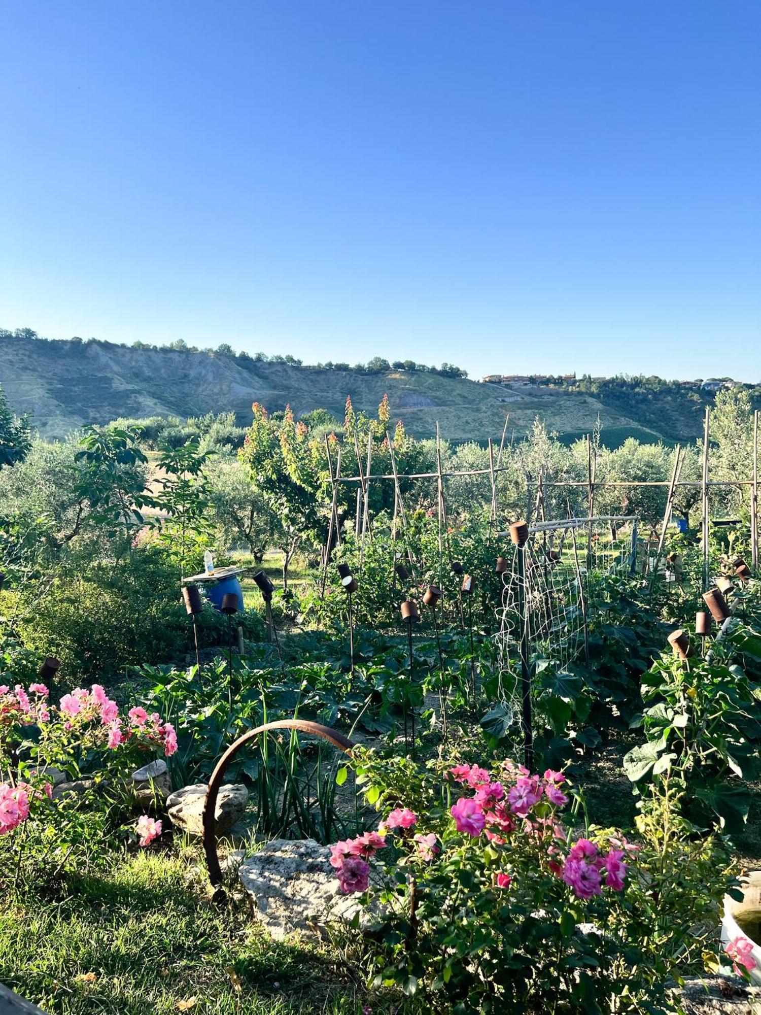 Relaxing Farmhouse Σαν Μαρίνο Εξωτερικό φωτογραφία
