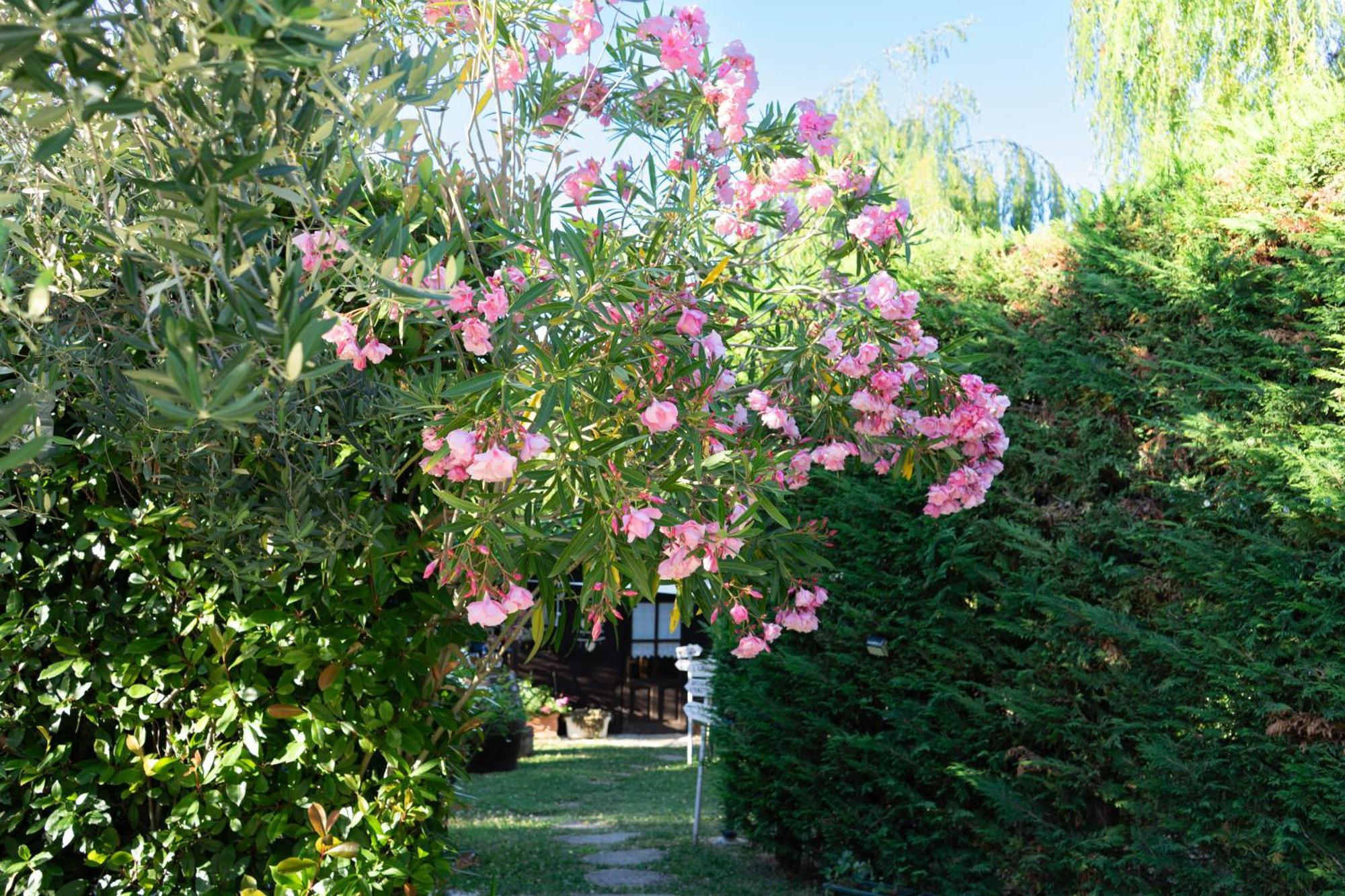 Relaxing Farmhouse Σαν Μαρίνο Εξωτερικό φωτογραφία