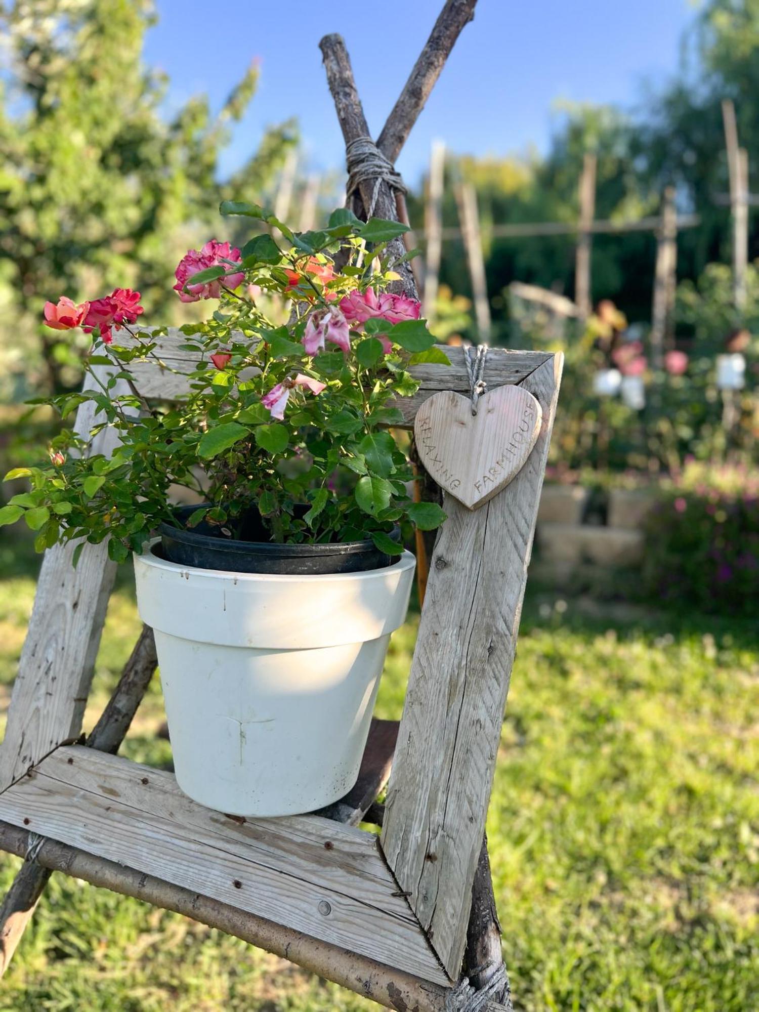 Relaxing Farmhouse Σαν Μαρίνο Εξωτερικό φωτογραφία